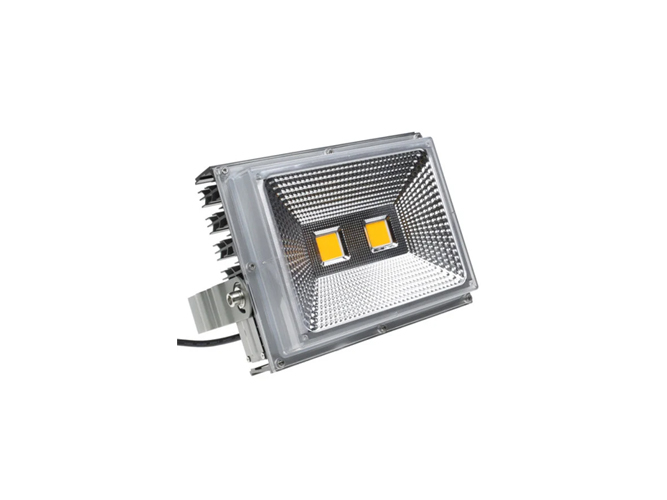 LED floodlight earl type