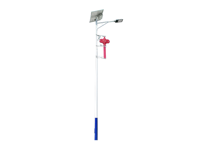 Solar Street Light  020