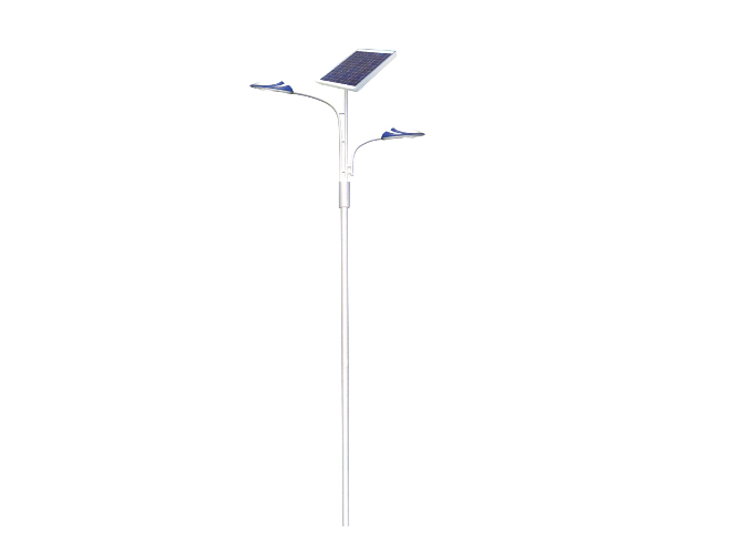 Solar Street Light  031