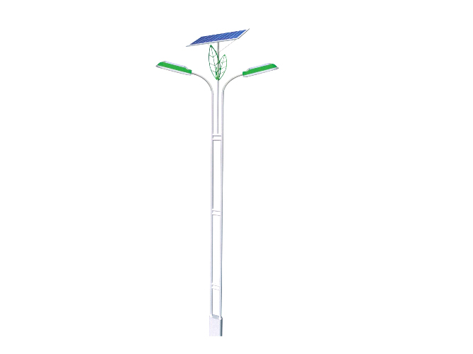 Solar Street Light 029